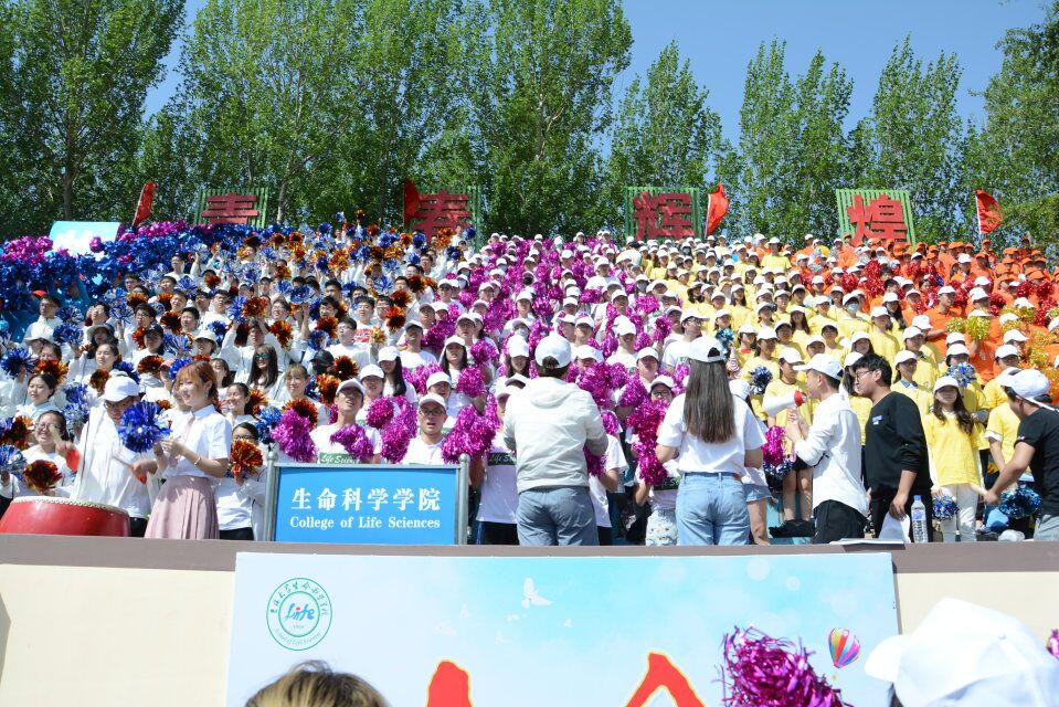 云顶赌场app