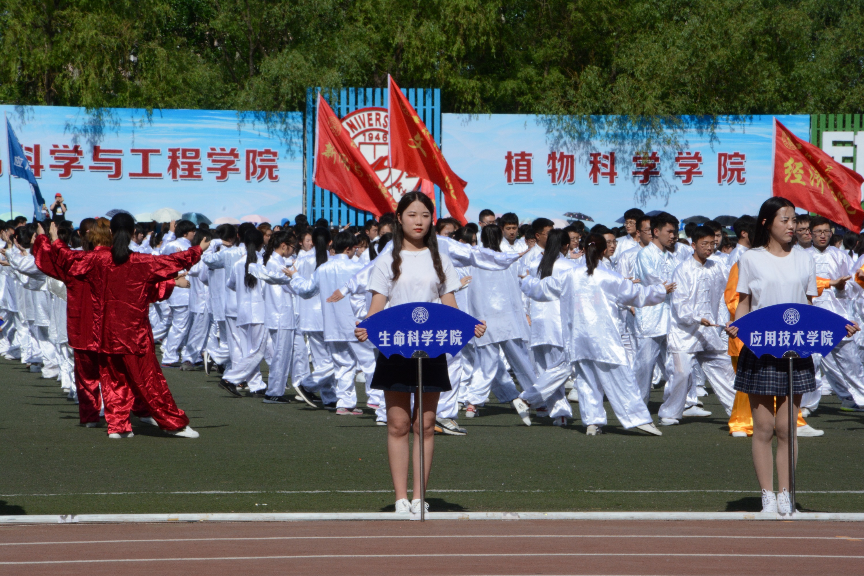 云顶赌场app