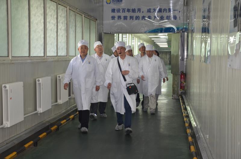 云顶赌场app