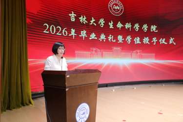云顶赌场app