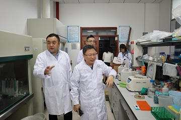 云顶赌场app