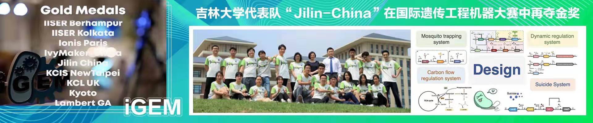 云顶赌场app