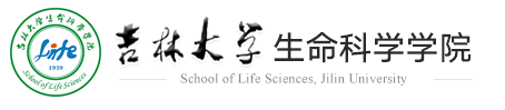 云顶赌场app