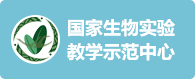云顶赌场app